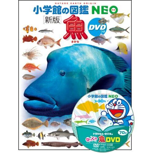 魚 - 通販｜セブンネットショッピング
