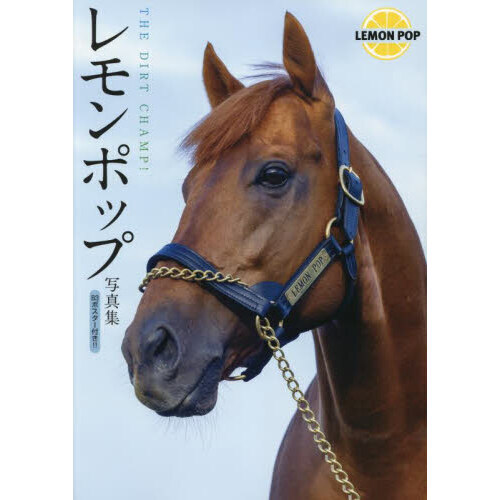 レモンポップ写真集 THE DIRT CHAMP！ - 通販｜セブンネットショッピング