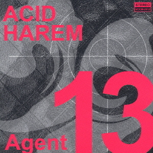 Agent 13