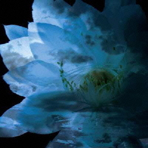 LUNA　SEA　MEMORIAL　COVER　ALBUM　－Re：birth－