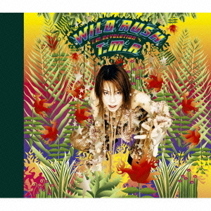 WILD　RUSH