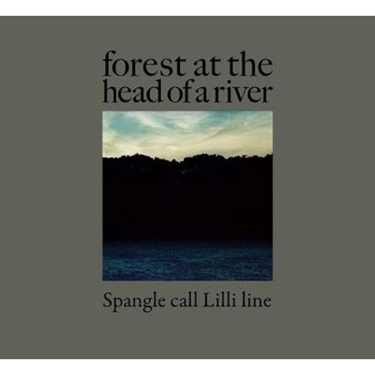 forest　at　the　head　of　a　river