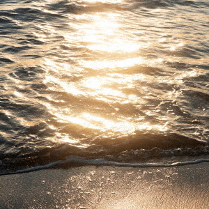 [.que]／Seaglow（CD）（セブンネット限定特典：オリジナルピック）