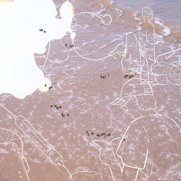 Homecomings／see you，frail angel. sea adore you.（2LP）（アナログ盤）