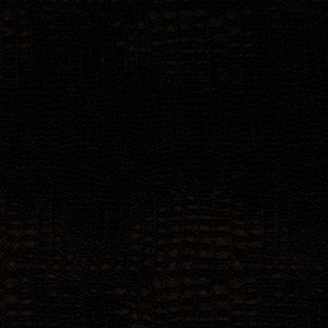 BLANKEY　JET　CITY　1997－2000