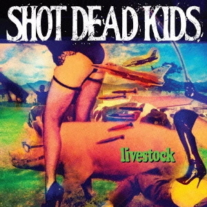 ���֥�ͥåȥ���åԥ󥰤��㤨���LIVESTOCK�פβ����Ǥ������ʤ�1,800�ߤˤʤ�ޤ���