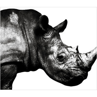 Mr.Children／Mr.Children 1992-1995（旧譜キャンペーン特典：Dear Mr.Children 1992-2022 ステッカー designed by goen° ）