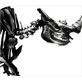 Mr.Children／Mr.Children 1996-2000（旧譜キャンペーン特典：Dear Mr.Children 1992-2022 ステッカー designed by goen° ）