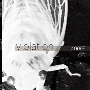 ���֥�ͥåȥ���åԥ󥰤��㤨���violation�פβ����Ǥ������ʤ�981�ߤˤʤ�ޤ���