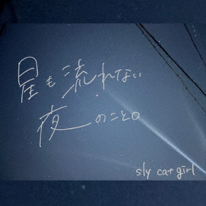 星も流れない夜のこと。