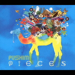 PIECES
