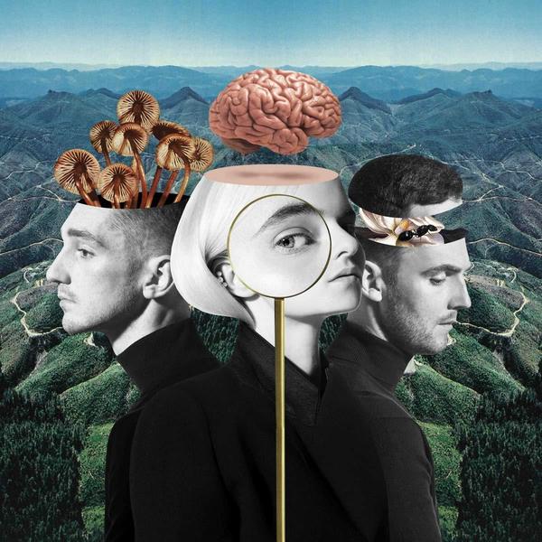 CLEAN BANDIT/WHAT IS LOVE? (DLX)（輸入盤）
