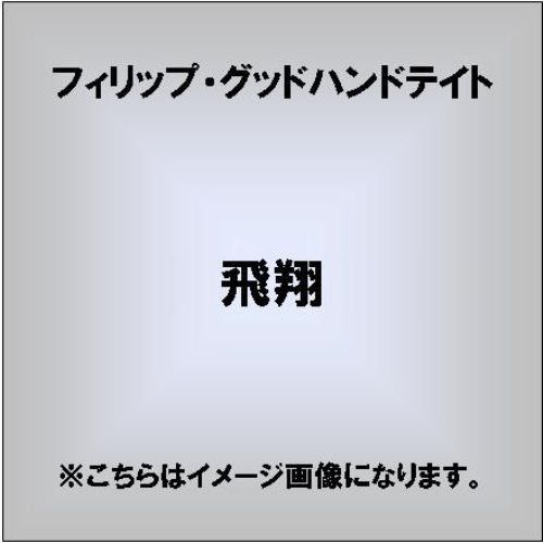 飛翔