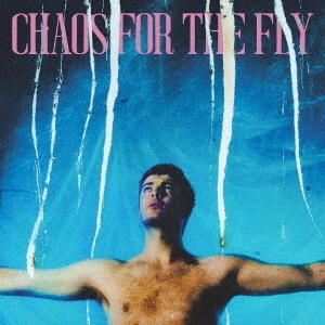 CHAOS　FOR　THE　FLY