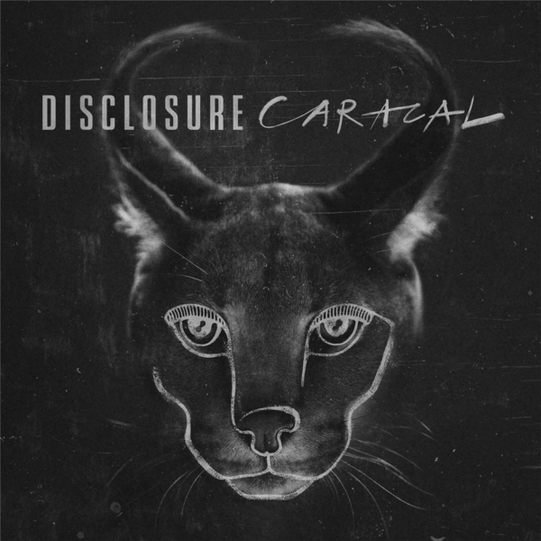 DISCLOSURE/CARACAL（輸入盤）