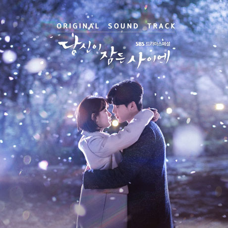 O.S.T./WHILE YOU ARE SLEEPING（輸入盤）