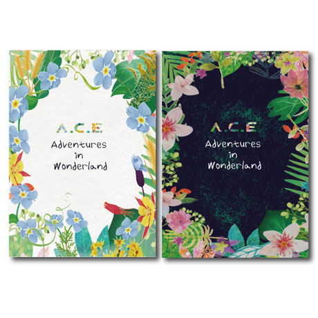 A.C.E/A.C.E ADVENTURES IN WONDERLAND（輸入盤）