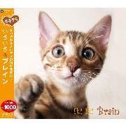 ゆるクラ　いきいき　ブレイン