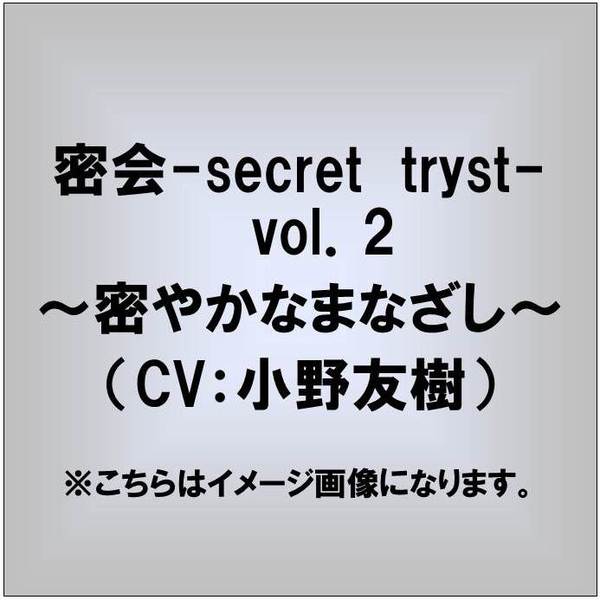 密会-secret tryst-vol.2 ?密やかなまなざし?