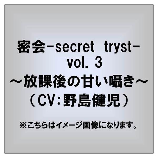 密会-secret tryst-vol.3 ?放課後の甘い囁き?