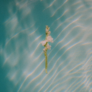 In　Each　Moment
