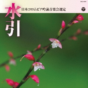 吟詠　平成三十年度（第五十四回）コロムビア全国吟詠コンクール　課題吟　CD　水引