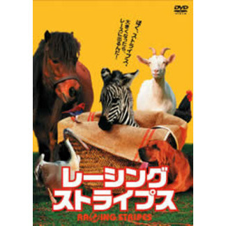レーシングストライプス