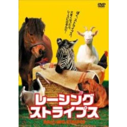 レーシング・ストライプス