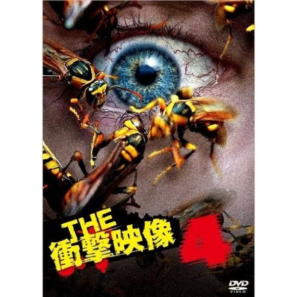 THE 衝撃映像 4