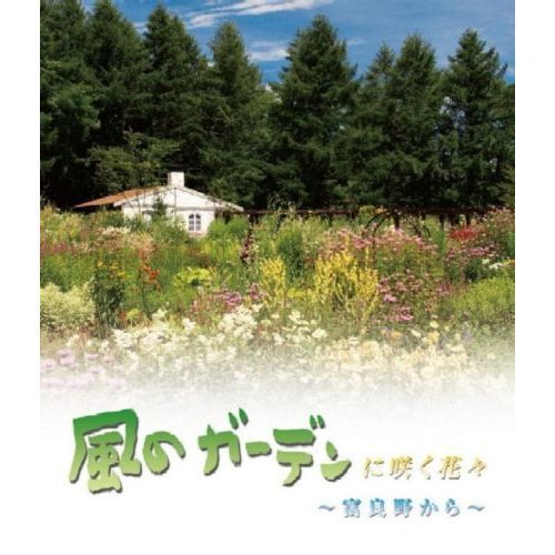 風のガーデンに咲く花々?富良野から?