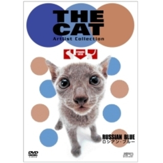 THE CAT ロシアン・ブルー