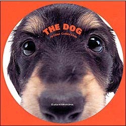 THE　DOG　ミニチュア・ダックスフンド