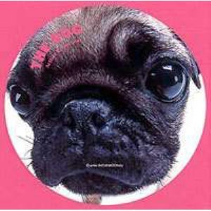 THE　DOG　パグ