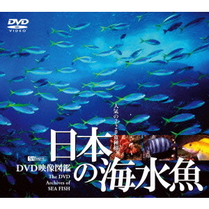 日本の海水魚　［DVD映像図鑑］