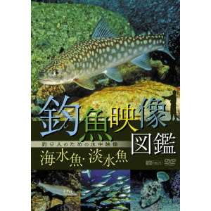 釣魚映像図鑑　［海水魚・淡水魚］釣り人のための水中映像