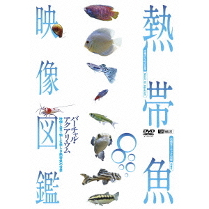 熱帯魚映像図鑑　バーチャル・アクアリウム　映像と音で愉しむ美しき熱帯魚の世界