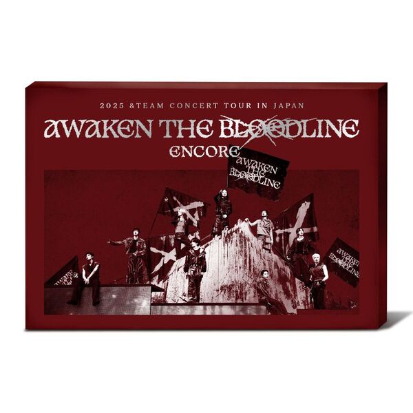 &TEAM NOW セブンネット トレカ フルコンプ 9枚セット [48] &TEAM／2025 &TEAM CONCERT TOUR 'AWAKEN THE BLOODLINE' ENCORE