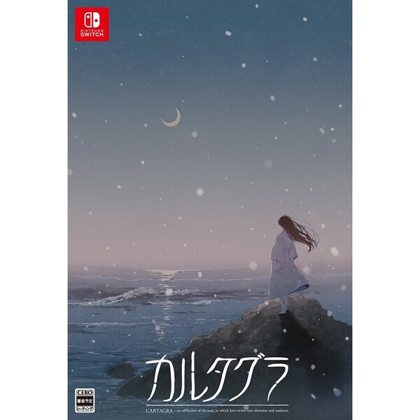 ���֥�ͥåȥ���åԥ󥰤��㤨���Nintendo Switch ���륿���� �������ǡפβ����Ǥ������ʤ�12,960�ߤˤʤ�ޤ���