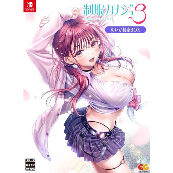 Nintendo Switch 制服カノジョ3　めいか初恋BOX