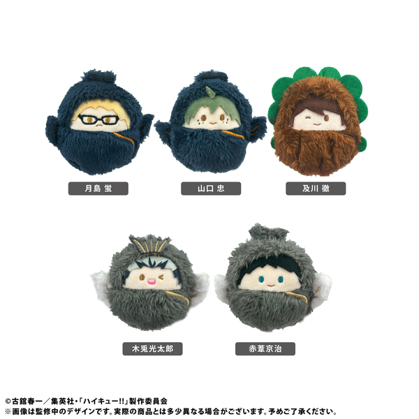 ハイキュー!!　くるみたぴぬい Vol.2【単品】