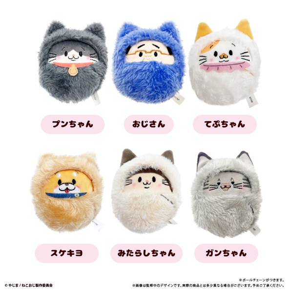 ねこに転生したおじさん　くるみたぴぬい【単品】（2025年8月以降発売予定）
